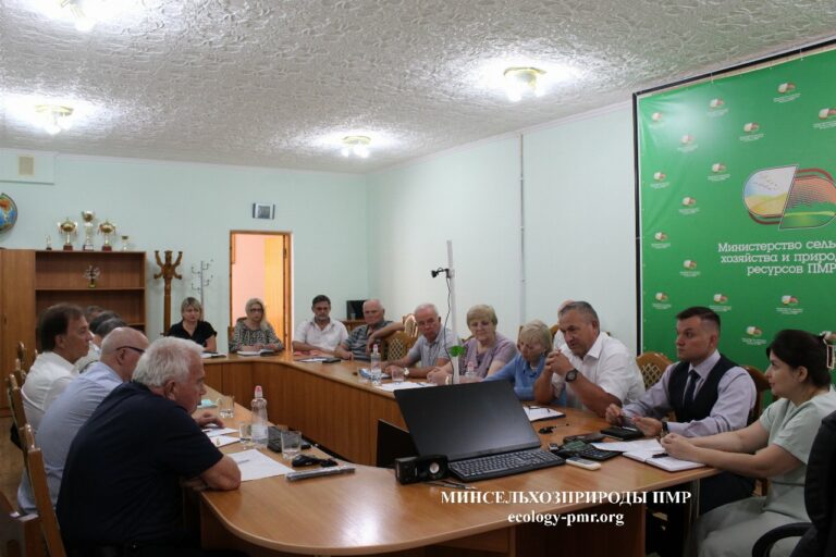 Поиск решений проблем