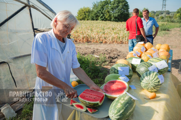 Путь от семени к готовому продукту