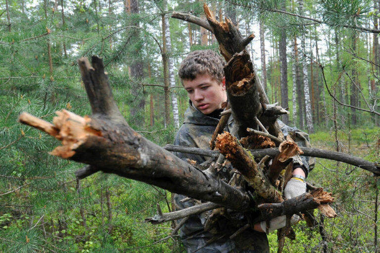Валежник или нет?