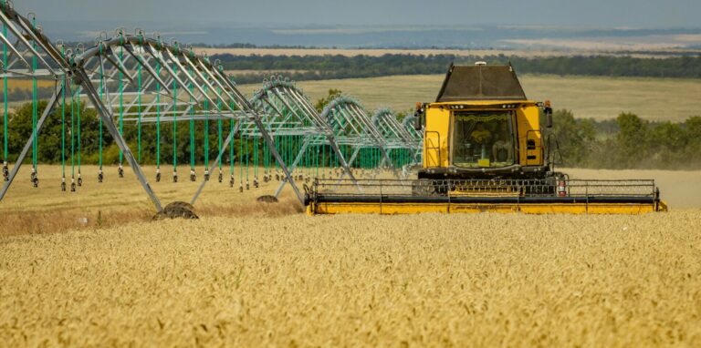 Об итогах урожая-2025