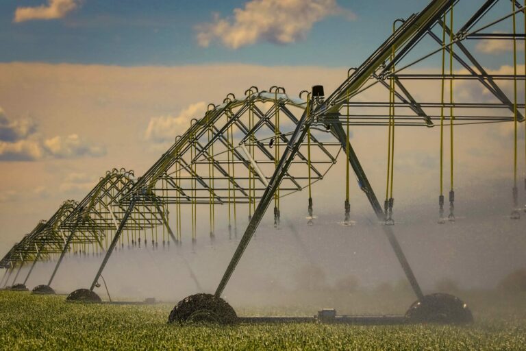 Водный юбилей