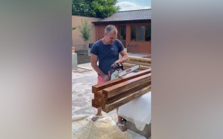 Когда дерево «оживает»