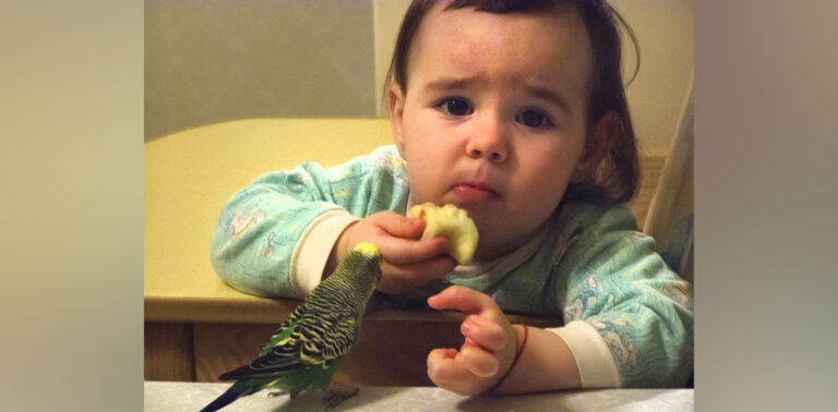 Изумруды тропиков