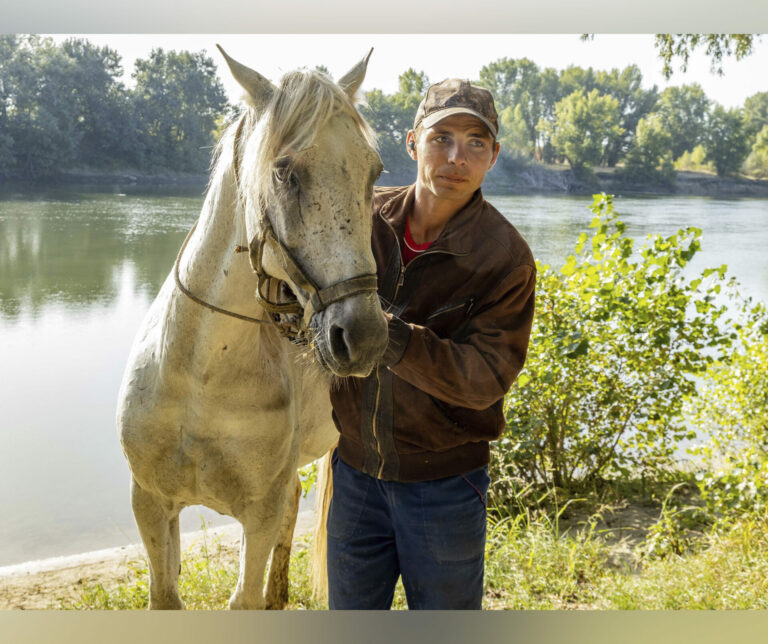 Хорошее отношение к лошадям