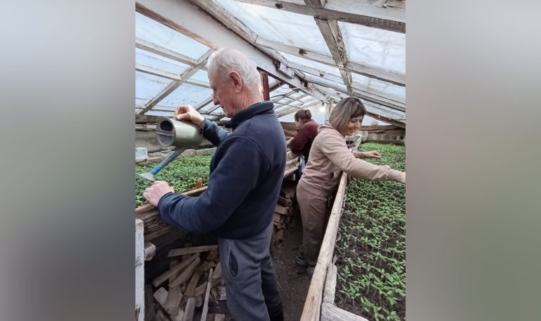 Трудолюбие – душа любого дела