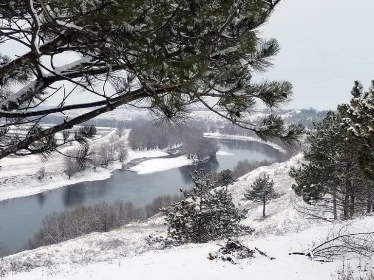 Зима в лесу не спит