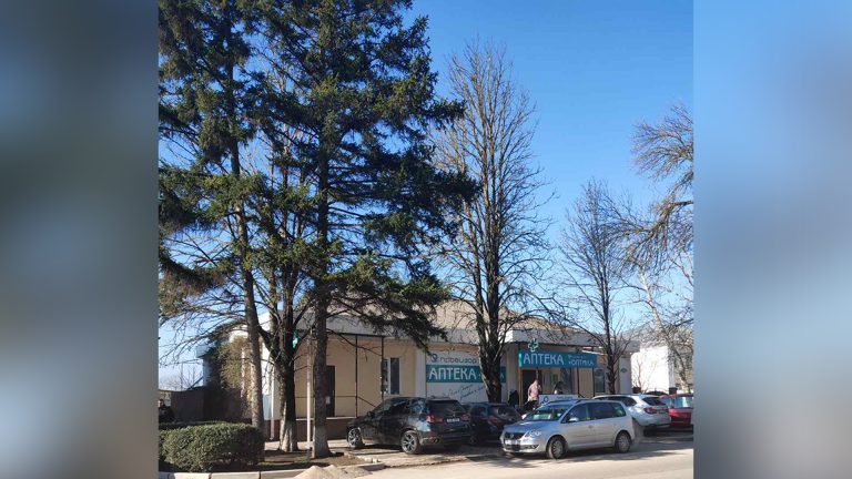 Смелый шаг к просвещению