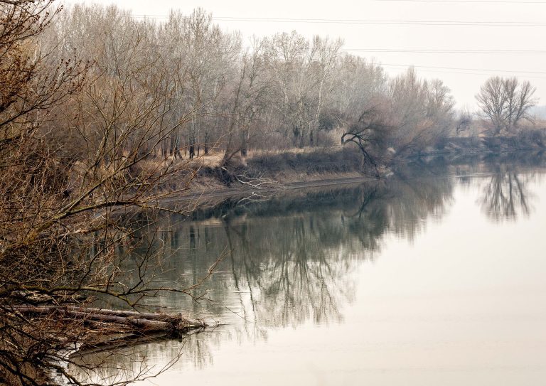 Днестр на грани экологического кризиса