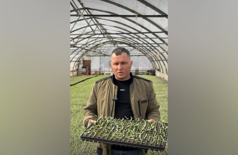 Там, где рождается «борщевой набор»