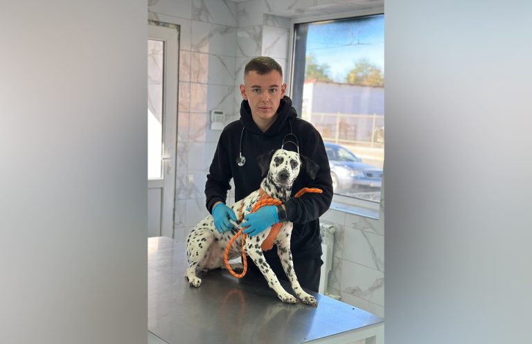 Помогать и спасать