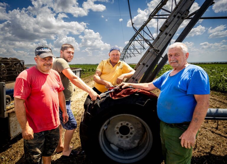 Ожидается хороший урожай