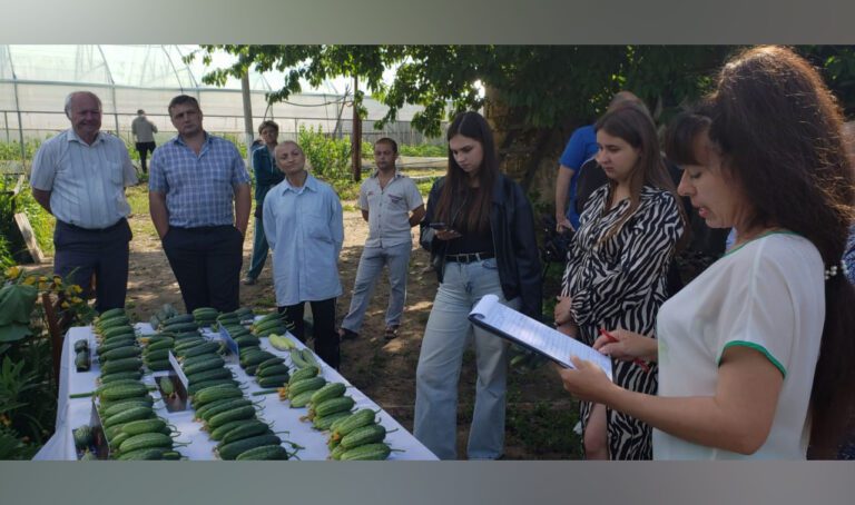 Урожай будущего уже в испытаниях