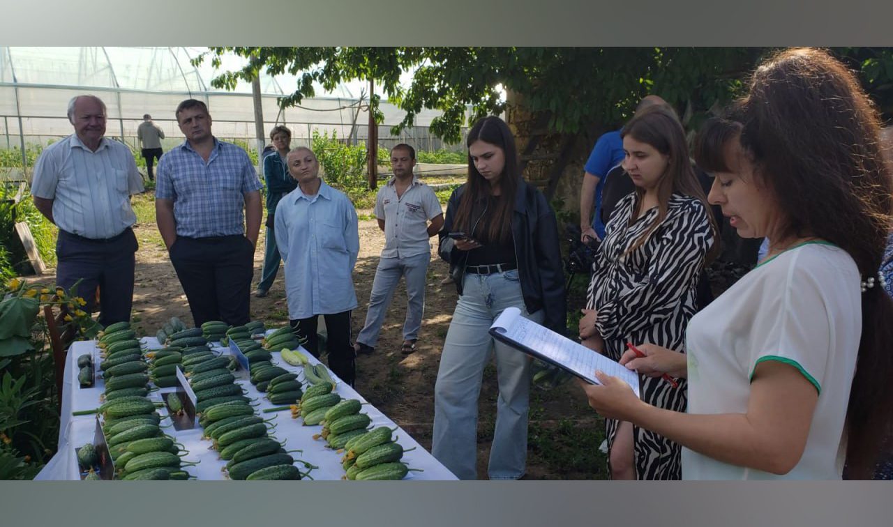 photo_2026-06-16_14-45-03-2 копия