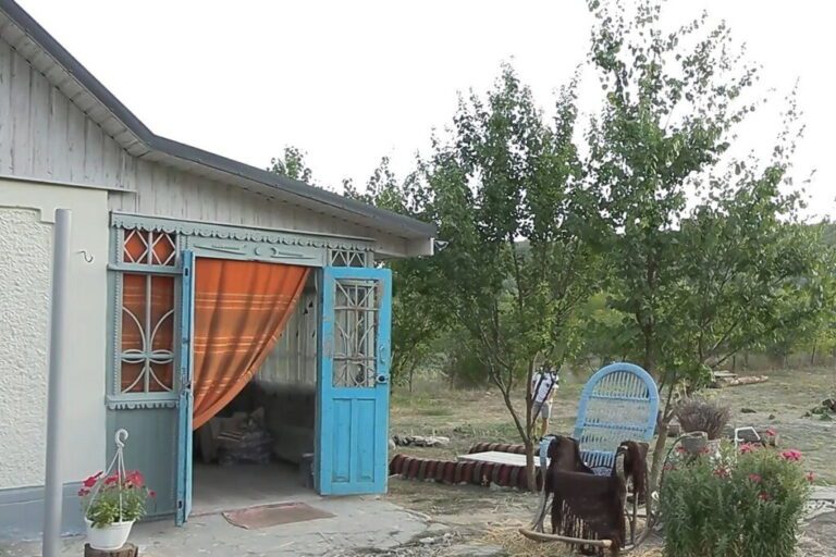«Вишнёвый сад». Почти как у Чехова…