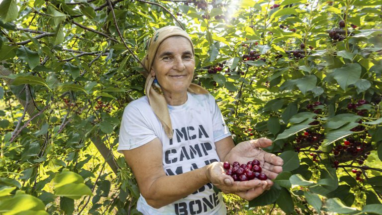 Пока цветёт и плодоносит сад