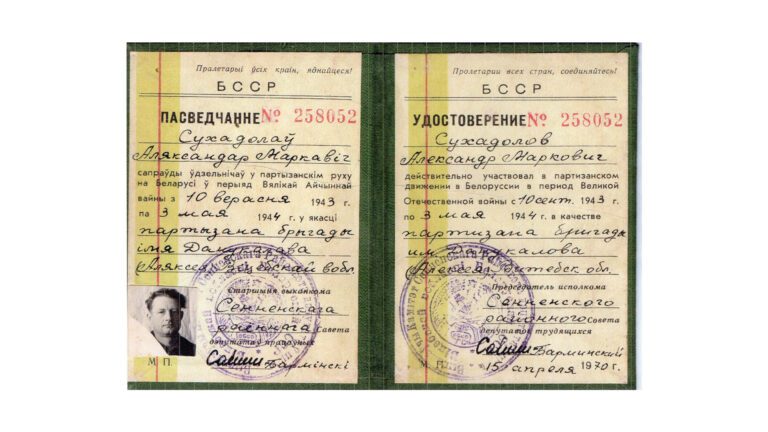Сила народных мстителей