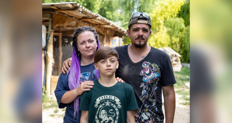 Здесь помогают животным