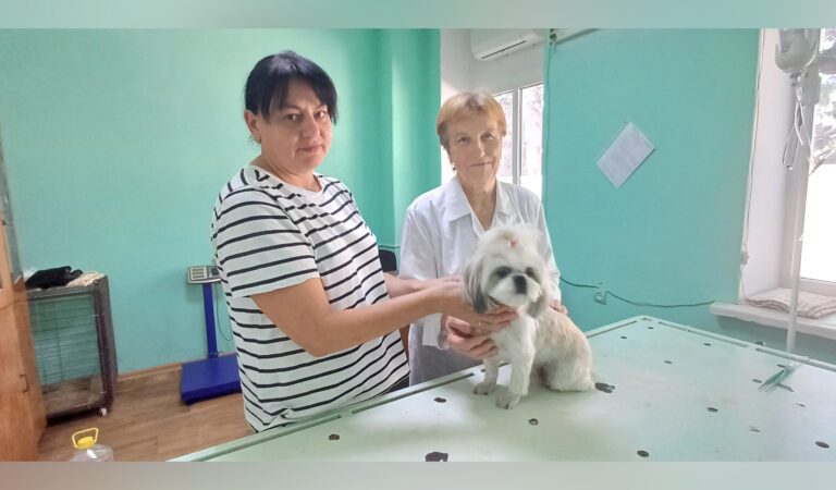 Профессия милосердия
