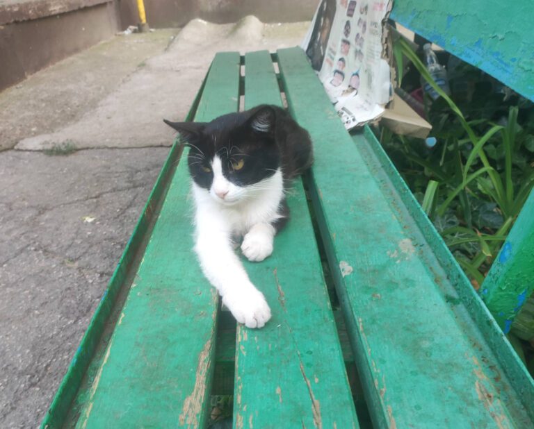 Дружба, которую не купишь