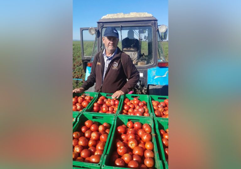 Земля отвечает урожаем